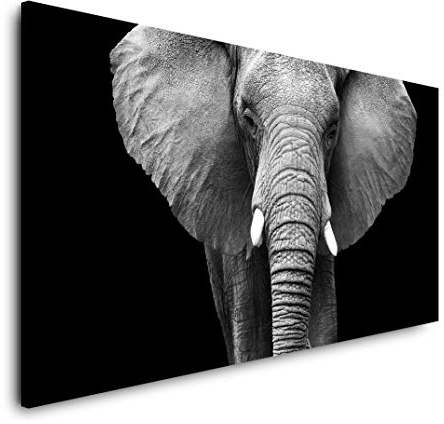 Elefanten Portrait 120x 60cm Panorama Leinwand Bild XXL Format Wandbilder Wohnzimmer Wohnung Deko Kunstdrucke