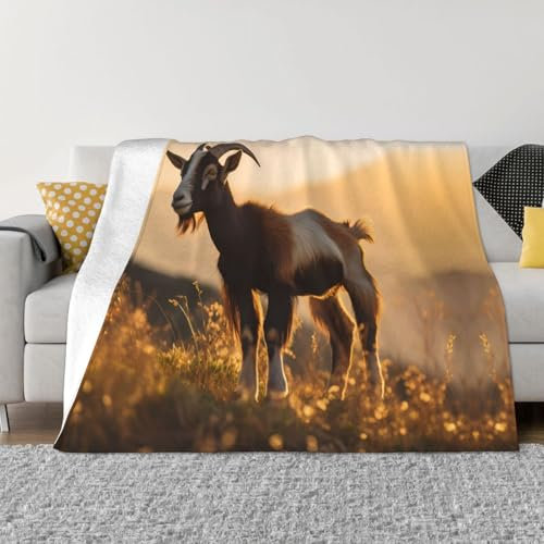 PHAYAH Coperta con capre per aria condizionata, per divano, letto, sedia, camera da letto, regalo, viaggio, soggiorno, coperta 152 x 127 cm