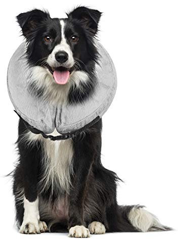 Petyoung Aufblasbares Halsband für Hunde und Katzen, weiches Halsband mit Verstellbarer Schnalle, ideal zur Erholung von Operationen oder Wunden, blockiert Nicht die Sicht (L, Grau)