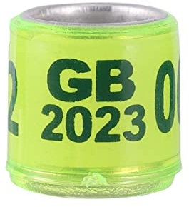 HUFFA 50Pcs 2023 Multicolor Pigeon Foot Ring with Word Foot Ring Durable Bird Ring Pet Bird Marking Ring Bird Supplies (Color : Fluorescent Green)