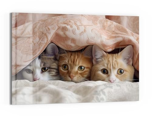 DEQORI Glas-Magnettafel | 60x40 cm cm groß | Motiv Katzenkuscheln | Memo-Board aus Glas | Magnetboard inkl. Magnete, Stift & Tuch für Küche & Büro | Tafel magnetisch & beschreibbar