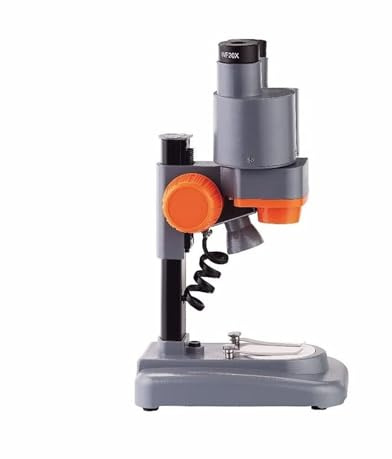 Microscope de Poche Microscope stéréo binoculaire Portable 40X for Enfants, for l'observation d'échantillons minéraux, éducation Scientifique for Enfants Portable