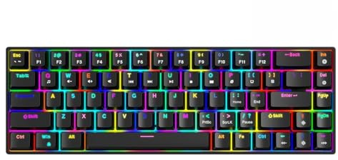 Annadue Kabelgebundene Gaming Tastatur für Computer, Kompakte 68 Tasten, Hot Swap fähige Braune Schalter Mechanische Gaming Tastatur mit RGB Hintergrundbeleuchtung für Laptop PC Desktop