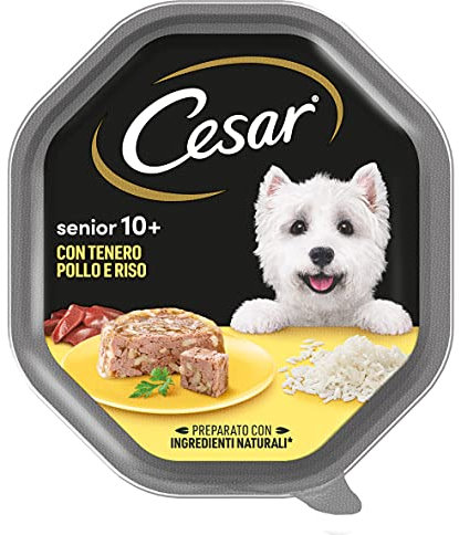 Cesar Senior 10+ Hundefutter mit zartem Huhn und Reis, 150 g, 14 Schalen