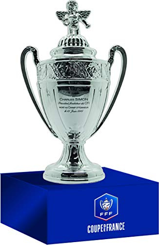 Coupe de France en 3D sur Socle en Bois (Version 100mm)