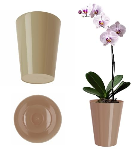 KADAX Pot d'Orchidée Simple, Rond pour Juvénile, Marguerite - Cuisine et Salon (Diamètre 13 cm, Beige)