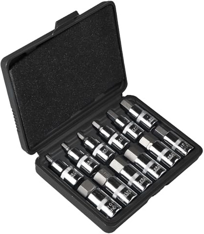 CPROSP Jeu de 12 Douilles Allen 1/2, Douilles Allen 5, 6, 7, 8, 10, 12, 14, 16, 17, 18, 19, 22 mm, 6 Pans Creux, Six Pans Extérieurs 1/2 avec Mallette en Plastique, Noir