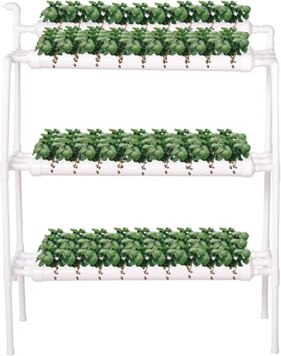 Sistema di Coltivazione idroponica - Kit idroponico | Grow Box per Coltivazione Senza Terra, Armadio da Giardino, Kit per la Coltivazione Indoor di Frutta e Verdura