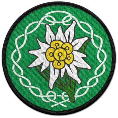 Patch Alpen Edelweiss Gebirgs-Jäger Blume Aufnäher Bergsteiger BW #23766