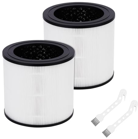 FY0611 Filtro Compatible con Purificadores de Aire Philips Serie 600 | para Philips AC0650/10 y AC0651/10, Número de Pieza FY0611/30, Paquete de 2 Filtros H13 True HEPA + 2 Cepillos de Limpieza