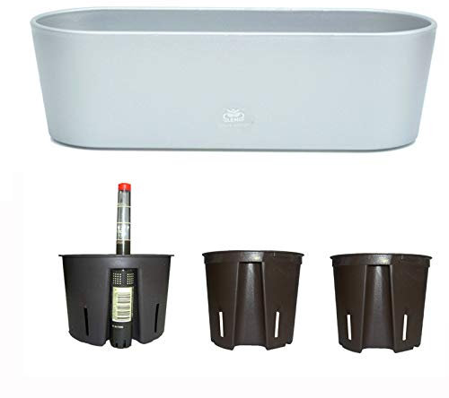 Set5 Kunststoff Flori Pflanzschale Silber für Hydrokultur L 36.0cm B 13.5cm H 11.0cm