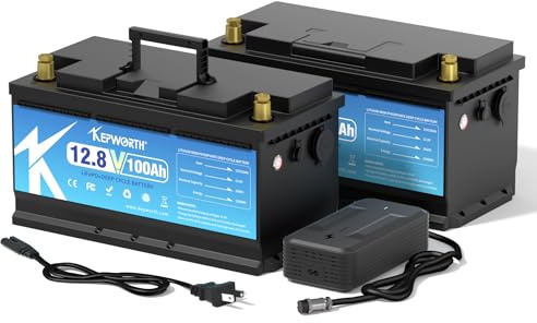 KEPWORTH 12V 100Ah LiFePO4 Batterie, 100A BMS, Max. 15000 Zyklen Deep Cycle Lithium Akku, Perfekter Ersatz für Blei-Säure Batterien für Wohnwagen, Camping, Boote, Wohnmobile, Solaranlage, 2 Pakete