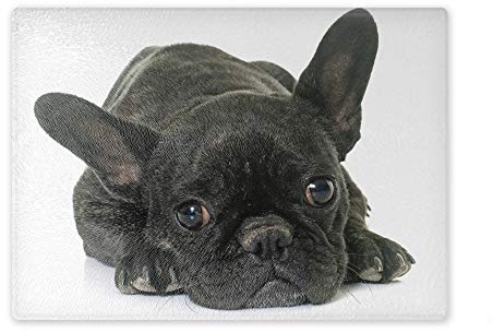 Schneidebrett/Glasschneidebrett 20x28x0,4cm - Motiv: Französische Bulldogge schwarz liegend nachdenklich | 01
