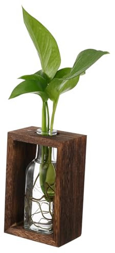 Levemolo Hydroponische Pflanzen Vase Mit Holzrahmen Vielseitige Vermehrungsstation Für Zimmerpflanzen Transparente Glasflasche Zur Einfachen Pflege Rustikale Tischdekoration Für Zuhause Und