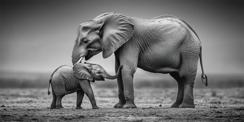 Malen Nach Zahlen Afrika Malen Nach Zahlen Erwachsene Elefant DIY mit Rahmen Ölgemälde Set Malen Basteln mit Pinseln und Acrylfarben Kreativ Set für Erwachsene,Home Wand Dekor Geschenk 60x120cm E-1752