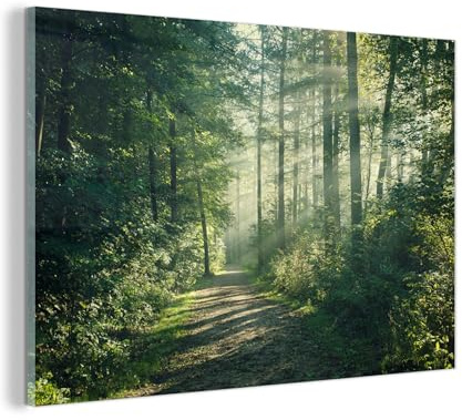 MuchoWow© Wandbilder Glas Schlafzimmer Home Deko Wohnung Bild Wohnzimmer | 120x80 cm - Wand Glasbilder Leinwand Wall Decor Wald - Sonne - Pfad - Bäume - Grün - Natur