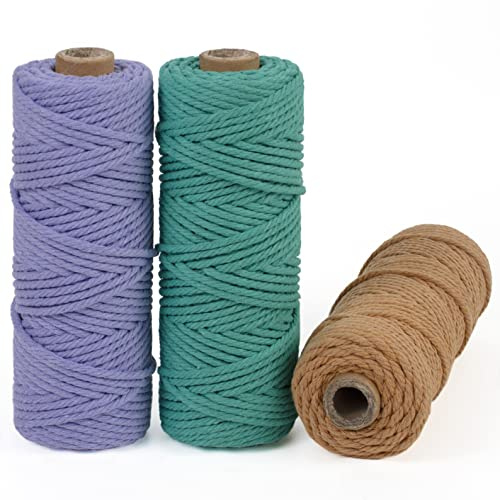 LEREATI Makramee Garn 3mm Set, 150m Makramee-Schnur, Farbig Baumwollseil, Baumwollgarn 3mm zum Makramee Deko, Hängepflanze, Wandbehang, Hochzeitsbogen (Hellviolett, Seegrün, Aprikose)