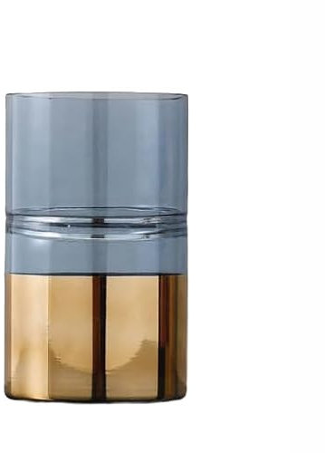 BIVVI Créativité Vase en Verre Transparent Vase à Fleurs doré Accessoires de Culture hydroponique décoration de la Maison