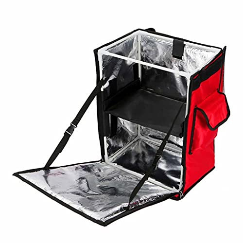 HMTE Lunch Box 43L Doppio Strato Take out Lunch Delivery Tote Bag Borsa in Foglio di Alluminio Cestino da Picnic Scatola per Alimenti da Picnic isolata dal Freddo