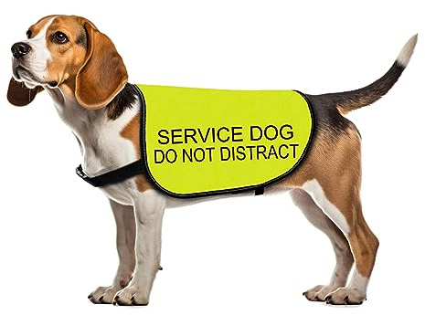 Diensthundejacke Weste Diensthund Do Not Distract Hundeweste Hund Spaziergang Slogan Warnweste (Diensthund Distract-Medium)