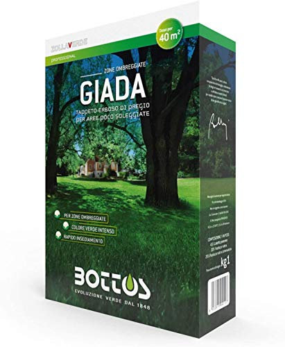 Bottos GIADA, Sementi per tappeto erboso pregiato per aree poco soleggiate, a colorazione verde brillante, ideale anche per parchi, 1Kg (40mq)