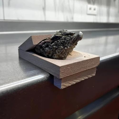 Morsetto per Sgusciare Ostriche | Kit Apertura Ostriche | Apri Ostriche | Attrezzo per Aprire Le Ostriche | Supporto per Sfaldatura di Ostriche per Ostriche per Ostriche, Vongole E Frutti di Mare