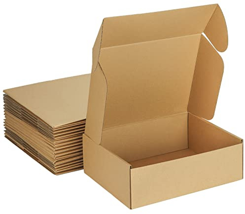 MEBRUDY 12x9x4 Inches Shipping Boxes Pack of 20, Small Corrugated Cardboard Box for Mailing Packing Literature Mailer