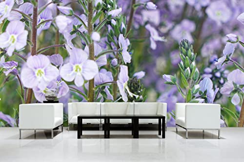 Glücksvilla - tapisserie photographique autocollante - papier peint intissé. Diff. tailles - DE - Photo. Motif: fleurs de gentiane violettes - 600 x 250 cm - prairie nature plante