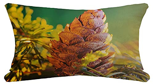 Kopfkissenbezug Kegel Liegt Auf Saison Nadelbaum Weihnachten Zweige Natur Umwelt Texturen Kissenbezüge Moderne Kissenhülle Packung Weich Dekokissen Kissenhülle Für Dekoration Sofa Büro 40x60cm