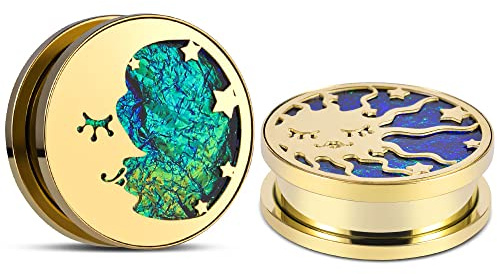 ERKUOO 2PCS Ohrmessgeräte Sun Moon Schraube Ohrtunnel Stöpsel Fleisch Tragbahren Piercing Ohrringe Kleiderbügel Expander 8mm-25mm