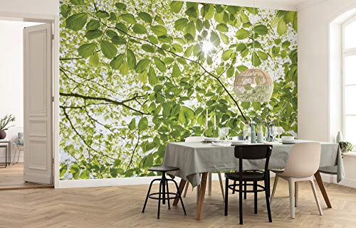 Komar Vlies Fototapete IM FRÜHLINGSWALD | Tapete, XXL, Dekoration, Natur, Landschaft, Schlafzimmer, Wohnzimmer, Büro, Flur | Größe 450 x 280 cm (Breite x Höhe) | SHX9-045