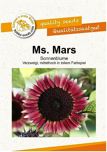 Blumensamen Ms. Mars Sonnenblume Portion