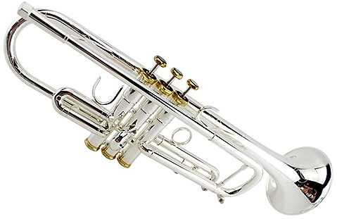 Blechblasinstrumente Trompete Röhrenmessingtrompete B-Trompete Musikinstrument Einsteiger Integriertes Horn Versilbert