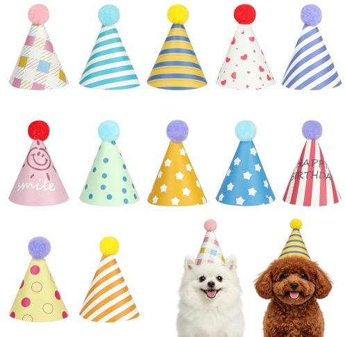 AYBUY 12 Stück Partyhüte, Geburtstag Partyhüte für Kuscheltiere, Kleine Party Hüte Geburtstagshut mit Pompons für Kinder und Erwachsene