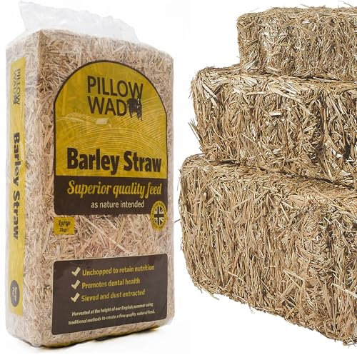 STORM TRADING GROUP Barley Straw Bedding Unchopped Soft Animal Bedding For Chickens, Rabbits & Tortoise (2KG (1 Bag))