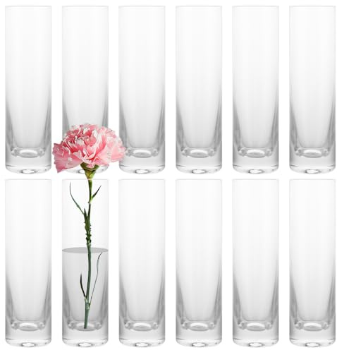ZOFUN Lot de 12 petits vases en verre pour décoration de table - 4,7 x 4,7 x 17,5 cm - Vase cylindrique rond - Vase cylindrique en verre pour décoration de table - Roses, tulipes, herbe de la pampa