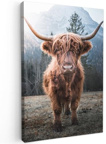 MuchoWow© Wandbilder Wohnzimmer Wanddeko Schlafzimmer Zimmerdeko Fotowand | 40x60 cm - Zimmer Deko Wand Dekoration Wall Art Kuh Leinwand - Schottisches Hochlandrind - Highland Cow Bild - Tiere