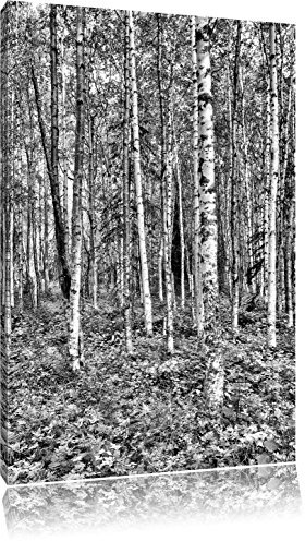 Pixxprint Monocrome, Birkenwald, Größe: 100x70cm, Leinwandbild, fertig gespannt, Wandbild, Dekoration, Kunstdruck, kein Poster