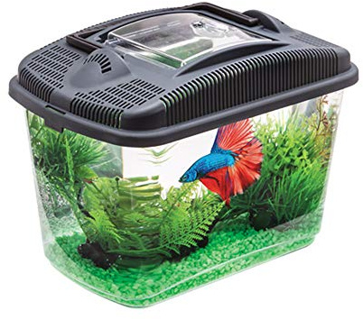 AQUAEL 114563 Betta Kit, svart, 790 g