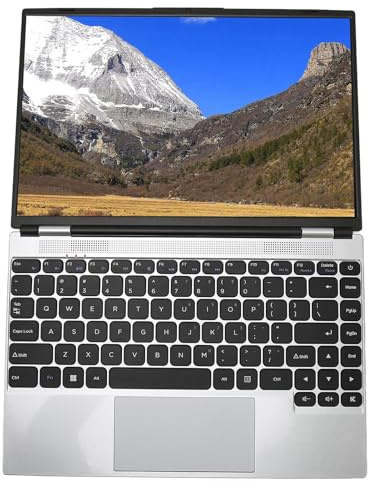 Haofy Laptop Aziendale, Memoria di Lavoro da 8 GB Quad Quad Thread BT4.2 Notebook da 14 Pollici 2.4G 5G WiFi 100-240 V per 11 PRO per Viaggi di Lavoro (Spina UE 8G+256G)