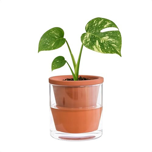 D'vine Dev Self Watering Terracotta Planter Pot, 4 in, 37-X-A-1