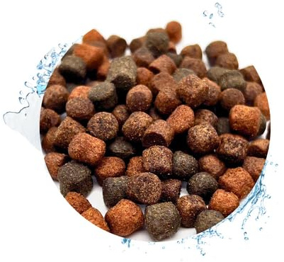 Warnick's Fischfutter Koifutter Jumbo Professional Mix 8 mm - 15 Liter | Fischfutter für Koi & große Zierfische - Große Pellets für kräftiges Wachstum - Schwimmfähig & gut verdaulich