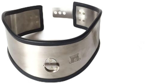 RIVILA Edelstahl Bondage Sex Halsband, Slave Halsbänder Fesseln Halsfessel Fetisch Halskette Halsreif mit Schloss Sexspielzeuge für Frauen Mann, Silikon Schutz,Sliver-Ø14cm