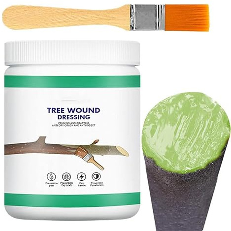 Nexoria Pflanzenheilpaste, 120 g Baum-Wund-Versiegeler, Baum-Wundheilmittel mit Pinsel, Pflanzenwundbeschneidung, schnelle Erholung, Baumreparaturmittel, Pflanzen-Heilung, Dichtmittel (1 Stück)