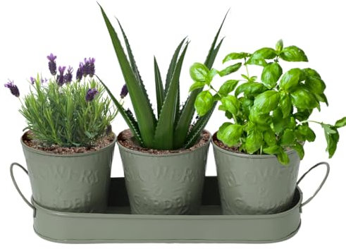 Trendi – Set of 3 Metal Plant Pots with Drip Tray | Embossed Indoor & Outdoor Plant Pots for Garden, Windowsill, Kitchen & Desk | Decorative Metal Flower Pots for Herbs & Plants | Olive Green