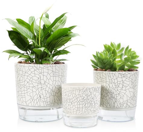 Etvski Self Watering Pots for Indoor Plants, 6/5 / 4 in, Set of 3