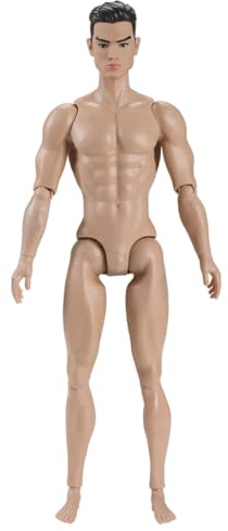 HoveeLuty Figurine articulée Masculine musclée à l'échelle 1/6, Corps articulé avec tête, pour Collection de poupées d'exposition, Corps Beige, Figurines personnalisées, Figurines Vierges