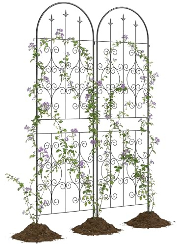 Outsunny Lot de 2 Supports pour Plantes Grimpantes, Treillis de Jardin avec Motifs de Volutes, pour Légumes, Vignes, Fleurs, en Métal, 50 x 180 cm, Noir