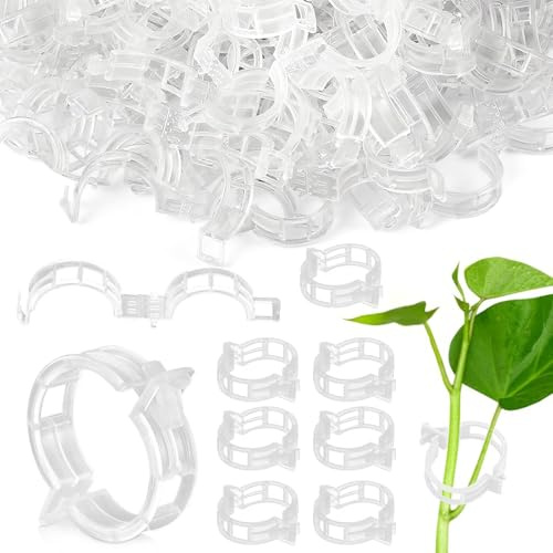 KongJies Pflanzenclips 100 Stück Pflanzenklammern, kletterhilfe Pflanzen für Tomaten, Rosen, Gurken und andere Rankpflanzen (100, Transparentem)