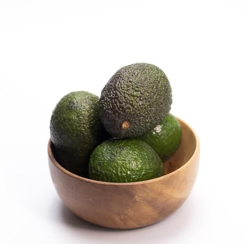 avocado balkon - Seltene - garten obstbaum dachbegrünung säulenobstbäume gartenpflanzen winterhart obstbäume winterharte für garten, säulenobst 70samen